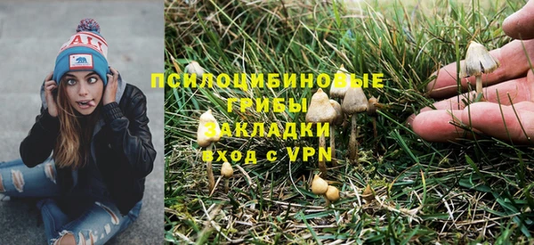 винт Лиски