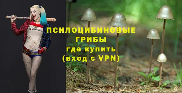 винт Лиски