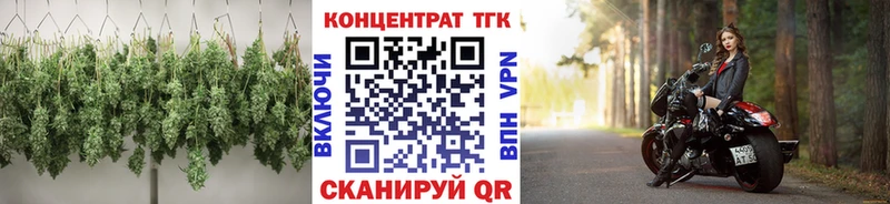 Купить закладки Шиханы Дистиллят ТГК THC oil